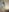SofiaLopez77のMy two ballsの 3枚の写真