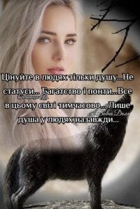 NSN_4lives🌿🌿🌿🌿🌿🌿🌿 Bild