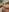 MiaM00N Naked Sleeping Beauty🫣🥰 사진