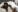 HellenLust more naughty of me XXX Bilde