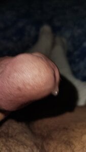 pontins Toma Hình 2