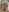 kristina_murr My naked hairy pussy is close Pic 5