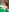 TessaQueen Moonlit Desire: A Symphony of Soft Skin Pic 2
