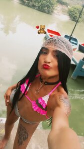 Trans-colombia Tuesday of picinada 사진 3