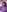 Allyah_Sky Naughty pictures 사진 7