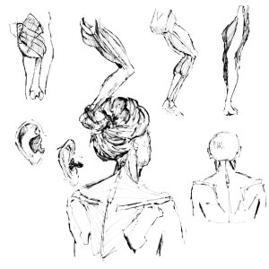 Linaaly my drawings Pic 7