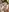 SofiaAdamsMasturbation in public照片 5