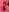 SerenaBennet Cherry Titties 🍒 Poză 3
