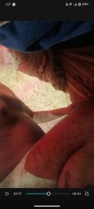 thekinglizard Public Pic 2