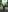 ananattaniaRailroad Tracks照片 3