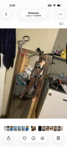 Trippyyb28 Public  3. fénykép