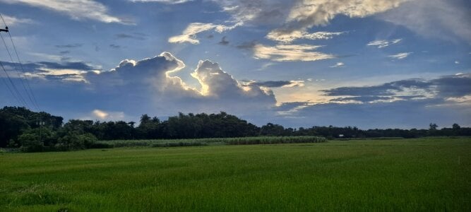 mdshovohossen kullanıcısının Public albümü -  2 fotoğraf