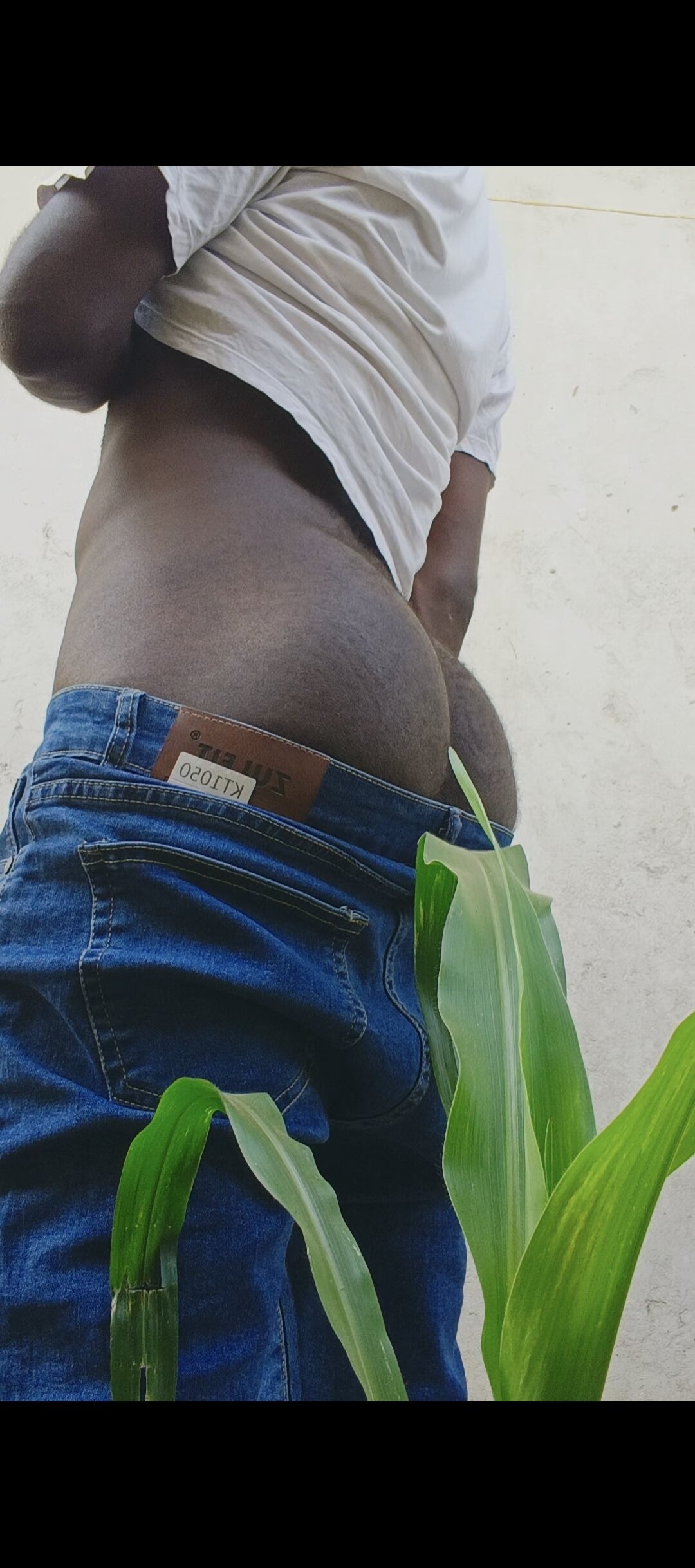 Moteroxz Populært foto 8806