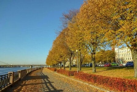 NecoleRemondini Magic autumn 🍂 Pic 4