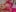 GangBangKitty Hot outfit for gangbang Photo