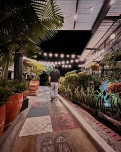 Travel de ErosDominant  3 Imagens