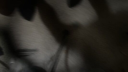 DreamGurlDaisy@xh Public Pic