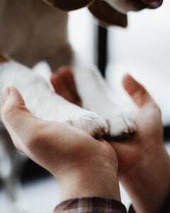 michael_strong1 My happiness 🐶 Pic 6