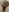 horny_baaby My push in public Foto  6