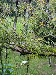 Salome_nevot 🌸Beautiful view🌸 Pic 5