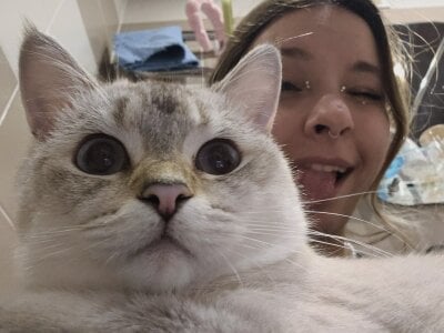 HinaVibe Public Kuva 3