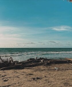 NovaaWheler Vacation 🌊🌴 사진 4