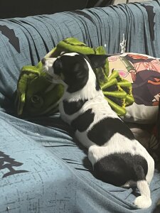 Alvin__Lin Public Pic 3