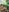 its_amesha Nude in forest Photo 3