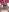 DaddybearVLC Jacuzzi Fotografie 5