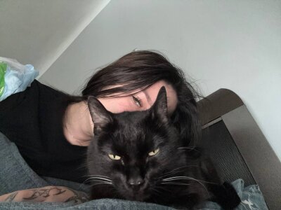 my favorites de ChillGato  4 Imagens