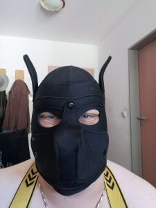 Puppywaffles Public Pic 4