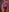 LilMiia topless neon Pic 7