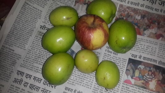 papacitoji Public Foto 5