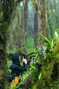 Namtarak Public Foto 4