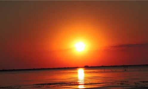 Karolina_Velvet Public зображення 4