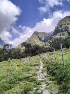 AshleyandCleo Nature Pic 5