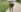 TilaTotti Wearing risky clothes on the trail Pic 6