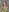 ❤️ Updatable Album ❤️ de EdlaDowdey  3 fotos