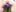 littlelustlamb Flowers Fotografie 8