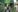 ananattaniaRailroad Tracks照片 9