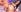 shayna_manson_ hey hey hey hey Pic 4
