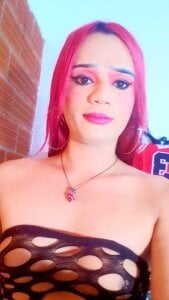 Public de Bbc25cmm  Imagens