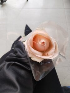 Dollvexia_ Kiss ✨👸🏻 Pic 5