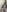 LISA_BULLOCK_ Pussy pussy 🔥🔥 Photo 6