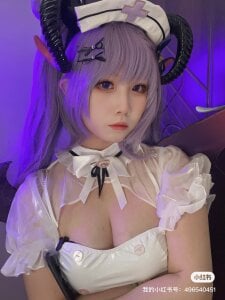 linko12334