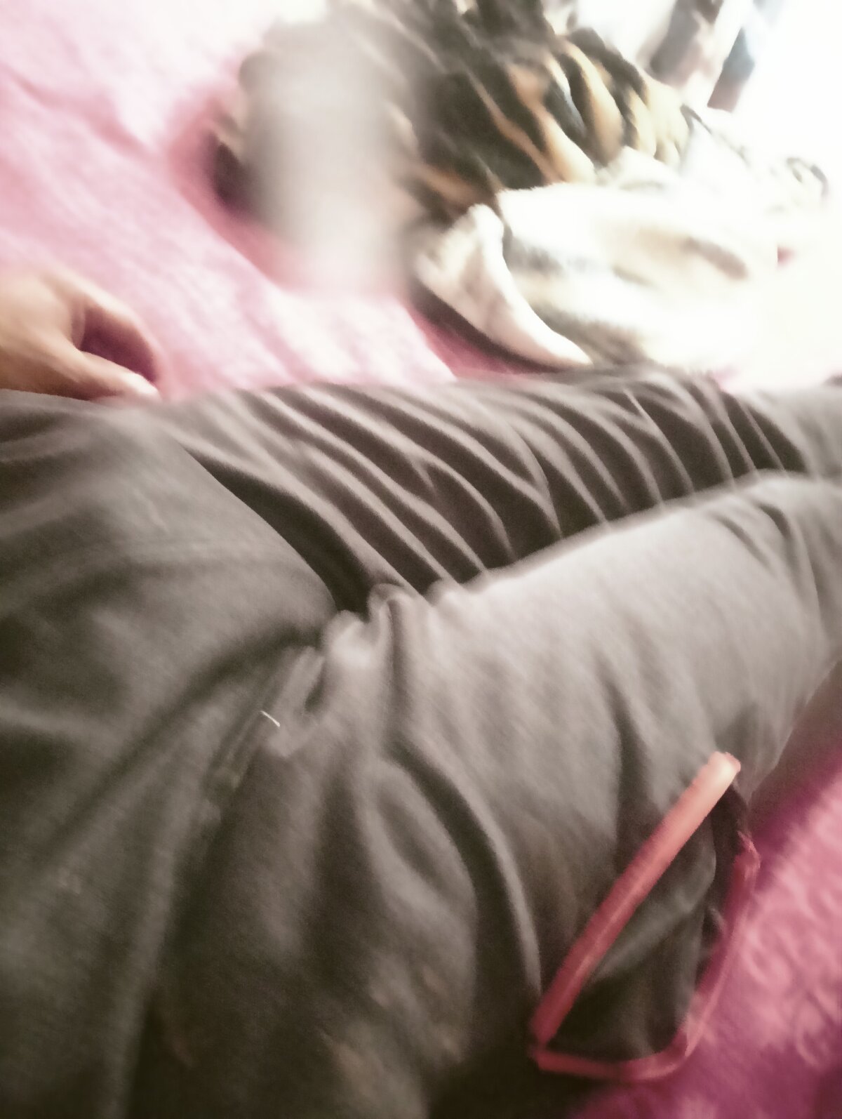 Roblehot13 adlı kullanıcının viral fotoğrafları:  495