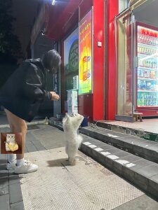 jingjing005 Public Pic 4