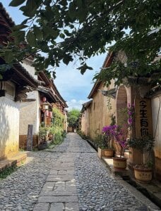 Thea-2026happy图片 4