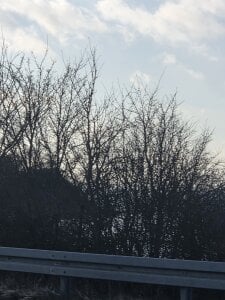 Arek245 kullanıcısının ed albümü -  fotoğraf