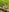 Bella_Suns Naked in the woods Pic